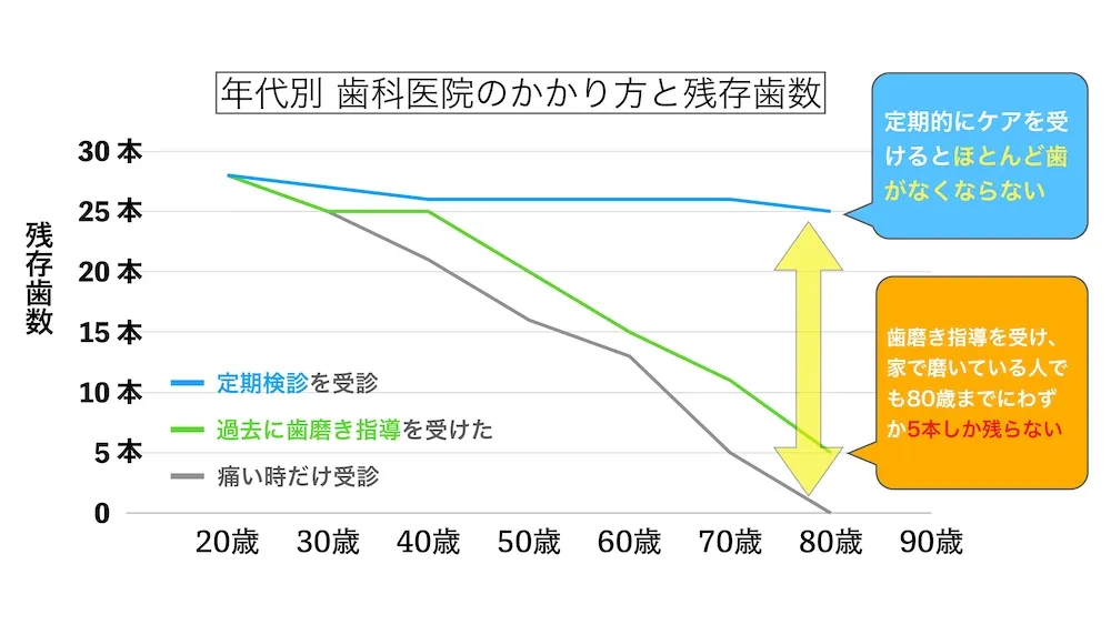 年代別 歯科医院のかかり方と残存歯数